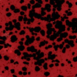 Ladybug - 16oz Mayco Jungle Gem Crystal Glaze